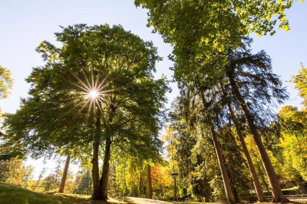 Schwarzwald Maedl Apartment Bad Wildbad Ngoại thất bức ảnh